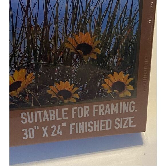 Bluebird Sunrise 1000pc Heritage Puzzle Winston-Salem, NC - New - Picture 7 of 7